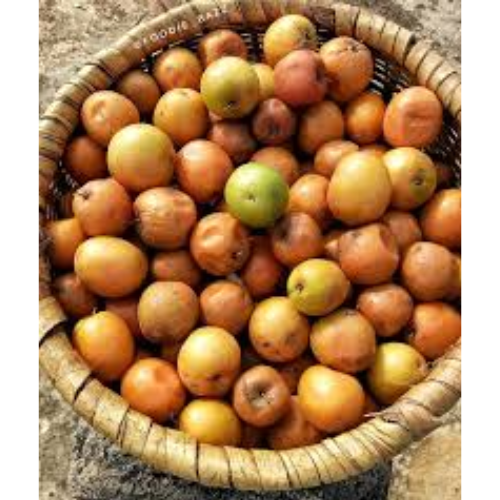 Jujube/Regipallu